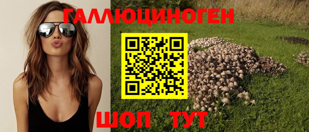 Галлюциногенные грибы Psilocybine cubensis Сафоново